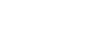 logo light
